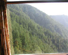 View from the room