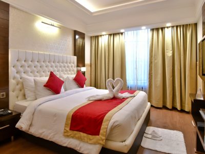 hotel-dhroov-room